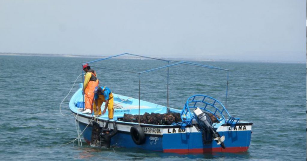 Embarcación recolectora de especies marinas en Perú Embarcación recolectora de especies marinas en Perú